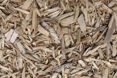 biomass boilers Sharpness
